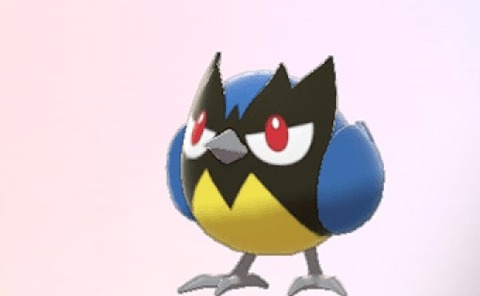 個体値A0を使わないのにコレクション要素みたいな感じで厳選してる奴いるよな