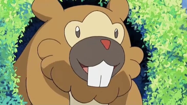 【朗報】メガビーダル、ポケモンZA DLCで参戦確定してしまう･･･