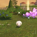 【朗報】ポケモンZAの「色違い」の仕様、全世界待望の仕様になる