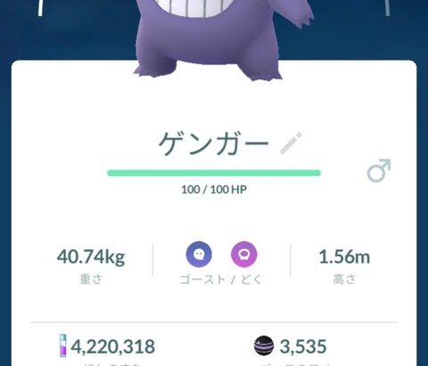 【ポケモンGO】おにぎりゲンガーを求めて