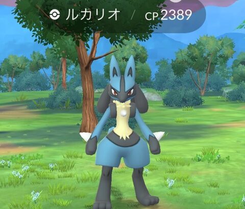 【ポケモンGO】野生のルカリオ出現