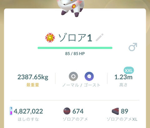 【ポケモンGO】ゴーストおひろめ「バグったヒスイゾロア」がいつもの無双