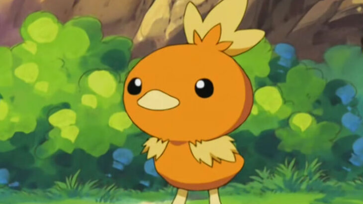 「中華屋でポケモンが唐揚げにされてる･･･」→ ネーミングはこういう理由だった！