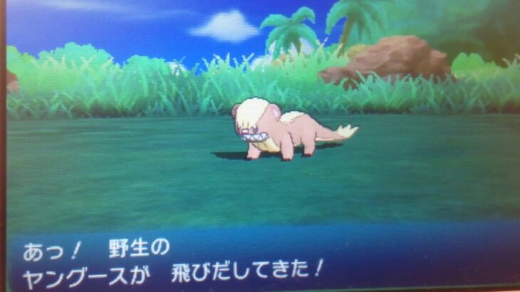 海外勢さん、うっかり公式超えの「空飛ぶディグダ」をデザインしてしまう