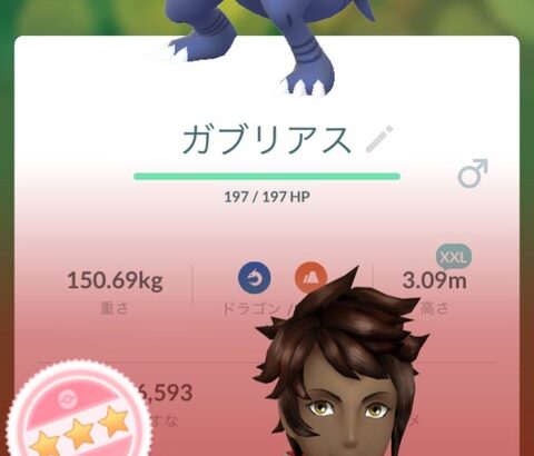 【ポケモンGO】とりあえずジムにはCP高い奴から置いていく勢