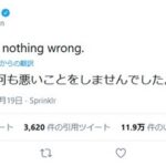 「ピカチュウショック」ってそんなやばかったの？