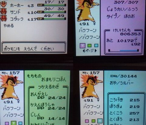 昔のポケモンで「最初の一匹だけレベル突出」「満遍なくレベリング」どっち派？