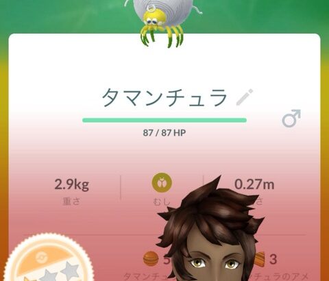 【ポケモンGO】新規実装のポケモンを野生で出現させるの久しぶり！タマランチュラ、ワナイダー