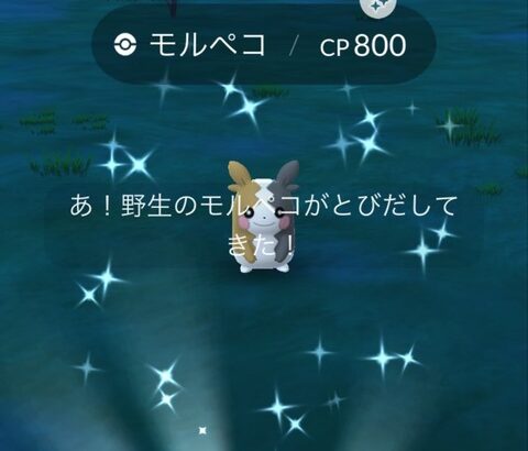 【ポケモンGO】色違いモルペコ、もうゲットした？