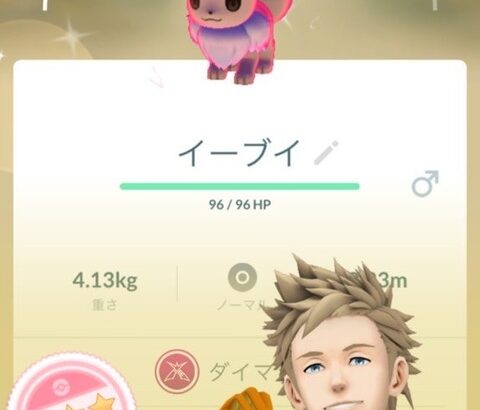 【ポケモンGO】ダイマイーブイ、ソロで倒せる？