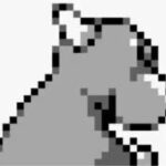 ポケモン初代の「リザードの後ろ姿」よくみるとなんかおかしくね？