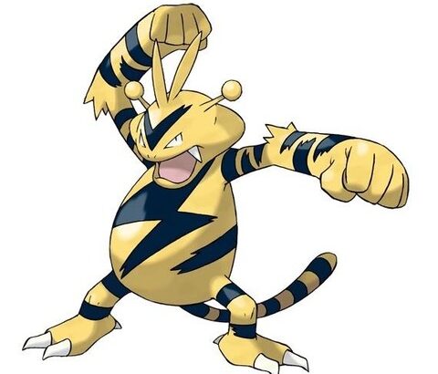 「エレブー」というポケモンのモチーフ、虎ではない。なんだこいつ