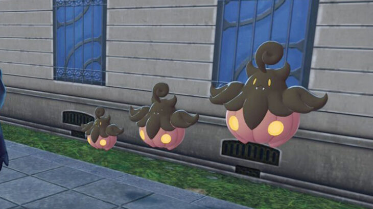 【ポケモンZA】唐突に生えてきた「バケッチャの新設定」は何なの？