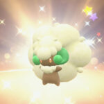 国際選手権チャンピオンの「ワタッコ」配布！