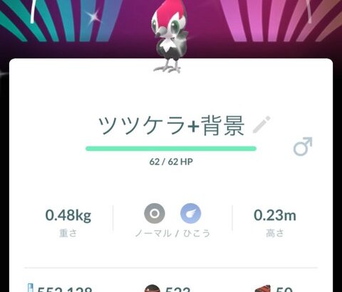 【ポケモンGO】ツツケラコミュデイの背景がこれ