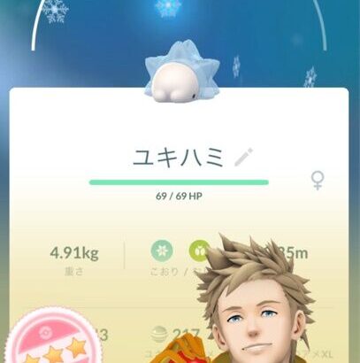 【ポケモンGO】７キロタマゴ孵化マラソン