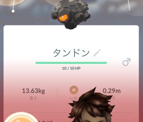 【ポケモンGO】タンドン、少ない