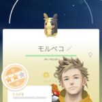 偽ピカチュウ枠って結局人気でないまま忘れ去られる