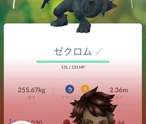 【ポケモンGO】手落ちの通常ポケモンをダイマックス出来るようにしたい