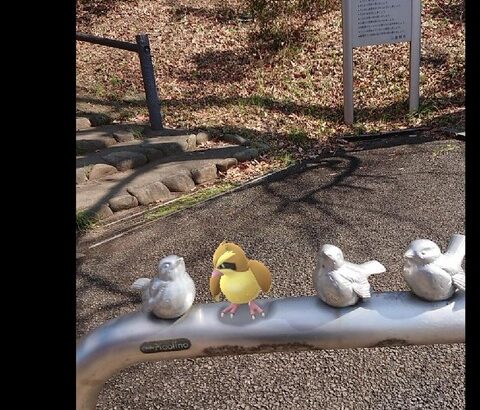 【ポケモンGO】メンテナンスでポケGO自体が止まってた事ある？