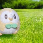 【朗報】今年の流行語、ほぼポケモン