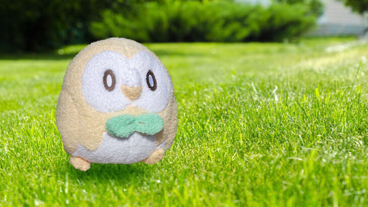 【朗報】今年の流行語、ほぼポケモン