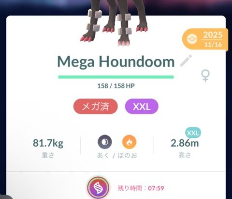 【ポケモンGO】ヘルガーをメガ進化させたら英語名になるバグ