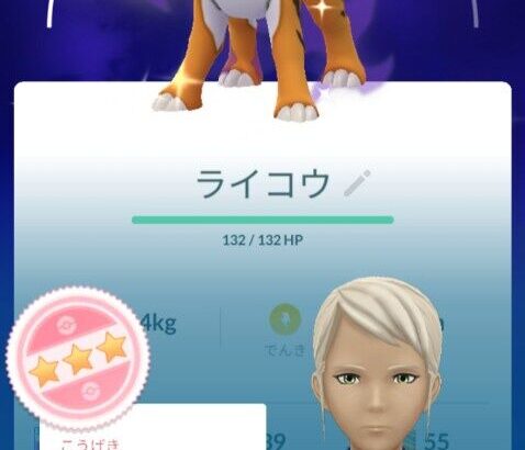 【ポケモンGO】シャドウライコウデイ、反省会