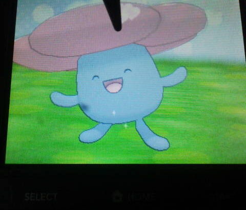 ポケモン触れ合い機能「ポケパルレ」「ポケリフレ」「キャンプ」「ピクニック」