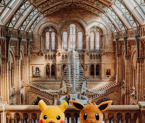 ポケモンとロンドン自然史博物館のコラボ、ポケカが付属