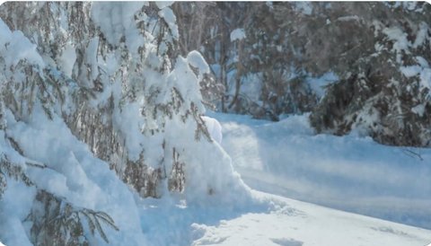 【ポケモンGO】2月のコミュデイはWロコンで確定