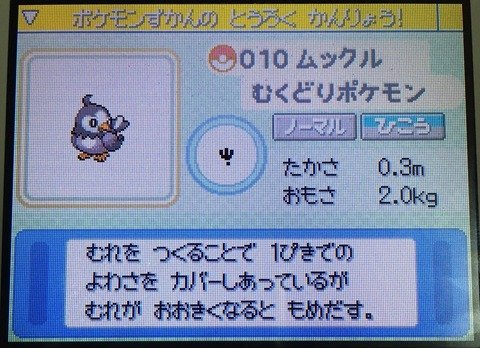 ダグトリオみたいな同種が3匹集まって一つの個体を名乗ってるポケモン