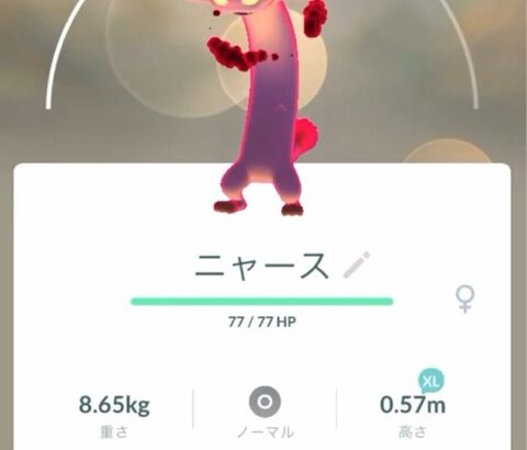【ポケモンGO】キョダイマックスニャース、特別な効果なさそう