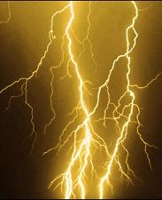 彡(^)(^)｢押し入れの中からポケモンのVHS見つけたで！｣