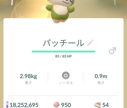 【ポケモンGO】バレンタイン限定「ハート模様のパッチール、色違いも存在」