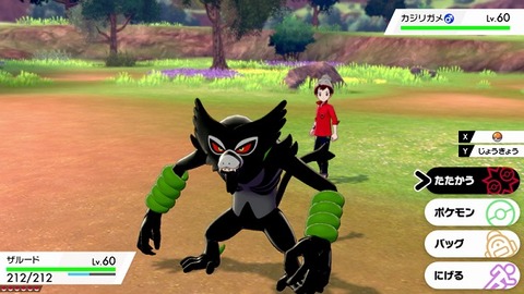 今のポケモン伝説のポケモンいくらなんでも多すぎる