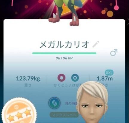 【ポケモンGO】背景メガルカリオ、かっこいい
