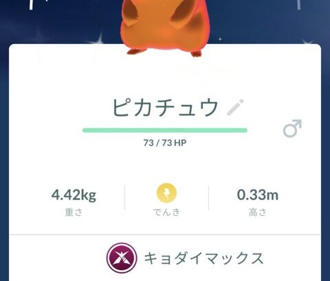 【ポケモンGO】キョダイマックスピカチュウ反省会