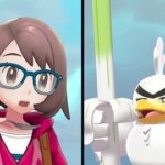 ポケモンの面白い縛りプレイなんかある？