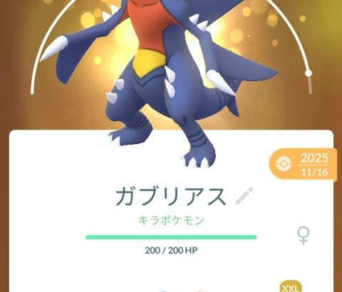 【ポケモンGO】XXSにもなんか使い道ほしい