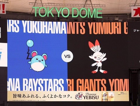 横浜ベイスターズ、推しポケモンをマリルにしてしまう