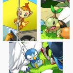 ポケモンプレイ時のこだわり