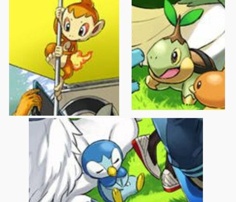 ポケモンプレイ時のこだわり
