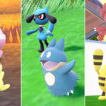 ポケモントレーナーが厳選する過程で野に逃がしてる事に誰も何も言わない