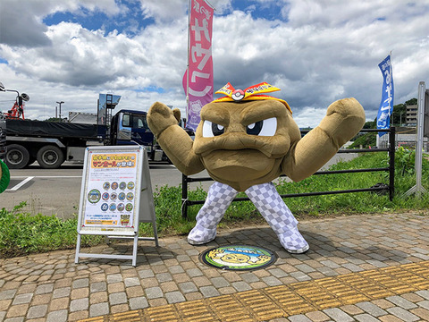 各都道府県の推しポケモン