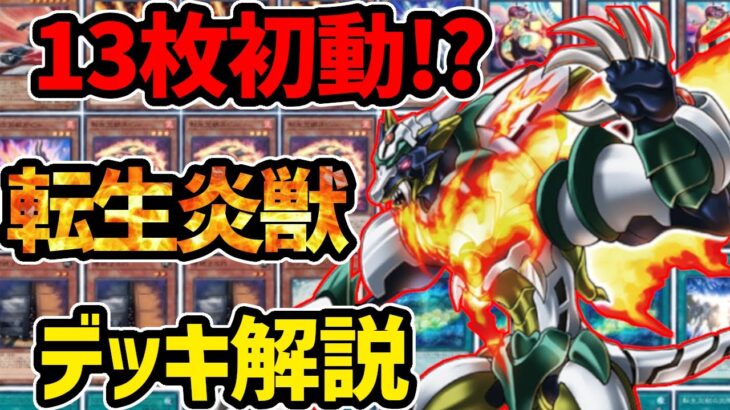 【#遊戯王】転生する無限リソース！環境レベル『サラマングレイト』徹底解説＆デッキレシピ！！【#デュエダン】