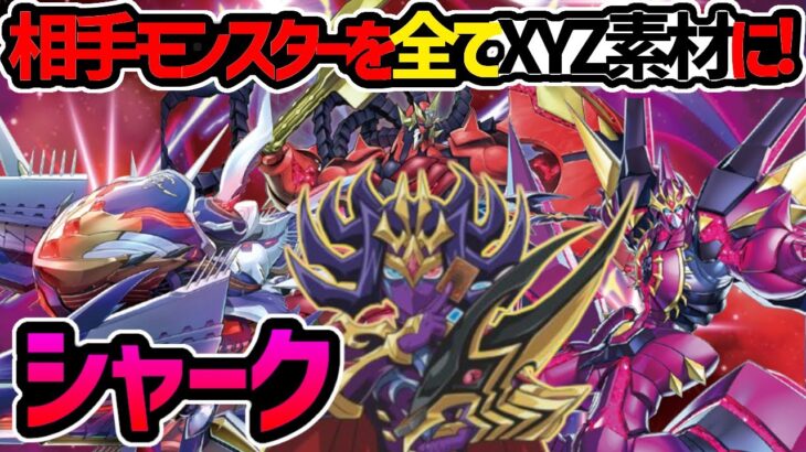 【#遊戯王】ナッシュの新エース、アラサイムヘットナイト！そして切り札の冀望皇バリアン！【#遊戯王】『シャーク』対戦動画！【#デュエダン】