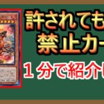 【１分解説】今の環境なら１枚なら大丈夫だろ