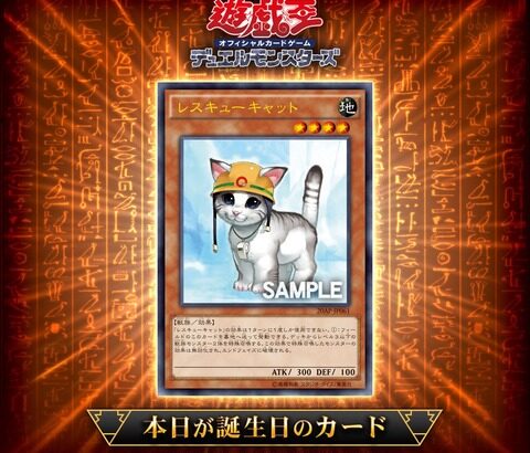 【遊戯王OCG】17年前に誕生した「レスキューキャット」を祝ってカードゲームインストラクターが遊戯王OCGバースデーデッキを作成！