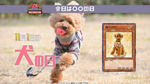 【遊戯王OCG】11月1日は犬の日！公式が犬の日にちなんだデッキレシピを紹介！